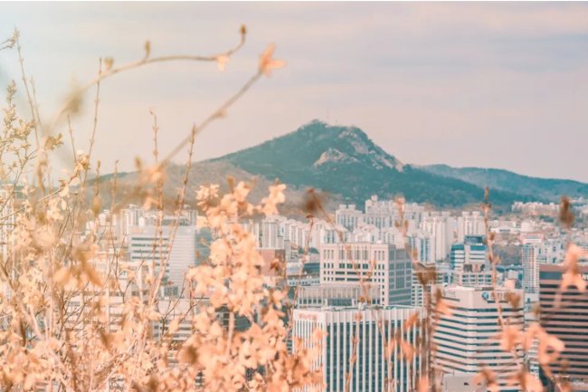 Why is South Korea so cool?