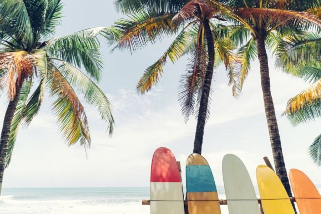 Catch the wave – best countries for surfing