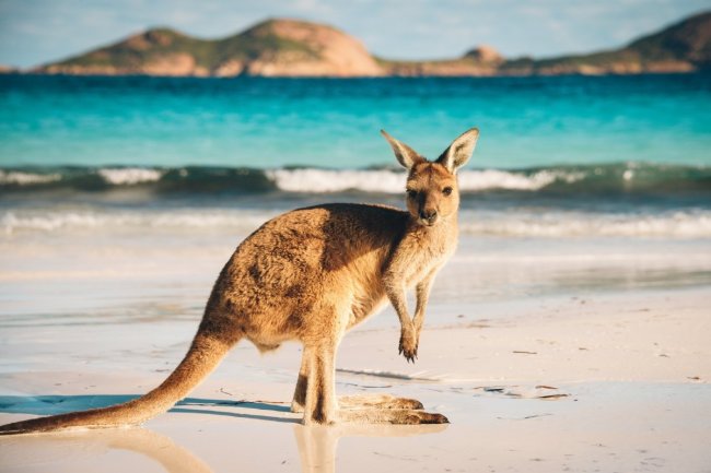 Why you need to go to Australia