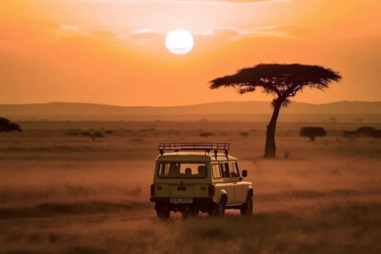 Your Big African Adventure