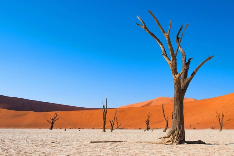 Namibia, which will certainly surprise you